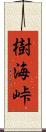 樹海峠 Scroll