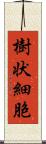 樹状細胞 Scroll