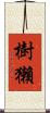 樹獺 Scroll