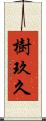 樹玖久 Scroll