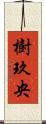 樹玖央 Scroll