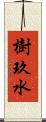 樹玖水 Scroll
