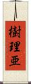 樹理亜 Scroll