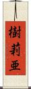 樹莉亜 Scroll