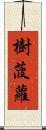 樹菠蘿 Scroll