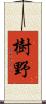 樹野 Scroll
