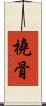 橈骨 Scroll