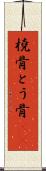 橈骨 Scroll