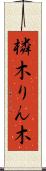 橉木 Scroll
