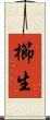 櫛生 Scroll