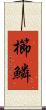 櫛鱗 Scroll