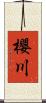 櫻川 Scroll