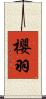 櫻羽 Scroll