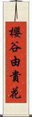 櫻谷由貴花 Scroll
