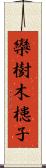 欒樹 Scroll