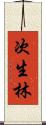 次生林 Scroll