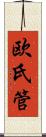 欧氏管 Scroll