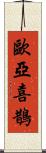 歐亞喜鵲 Scroll