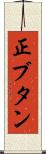 正ブタン Scroll
