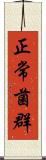 正常菌群 Scroll