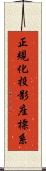 正規化投影座標系 Scroll