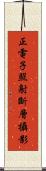 正電子照射斷層攝影 Scroll