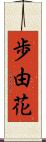 歩由花 Scroll
