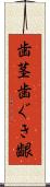 歯茎 Scroll