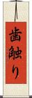 歯触り Scroll
