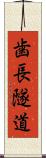 歯長隧道 Scroll