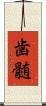 歯髄 Scroll