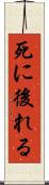 死に後れる Scroll