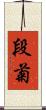 段菊 Scroll