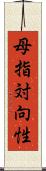 母指対向性 Scroll