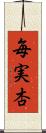 毎実杏 Scroll