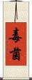 毒菌 Scroll