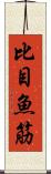 比目魚筋 Scroll