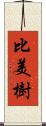 比美樹 Scroll