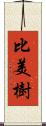 比美樹 Scroll