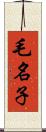 毛名子 Scroll
