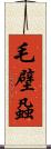 毛壁蝨 Scroll