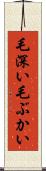 毛深い Scroll