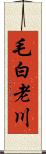 毛白老川 Scroll