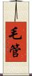 毛管 Scroll