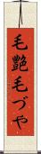 毛艶 Scroll