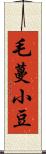 毛蔓小豆 Scroll