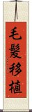 毛髪移植 Scroll