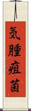 気腫疽菌 Scroll