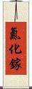 氮化鎵 Scroll