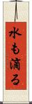 水も滴る Scroll